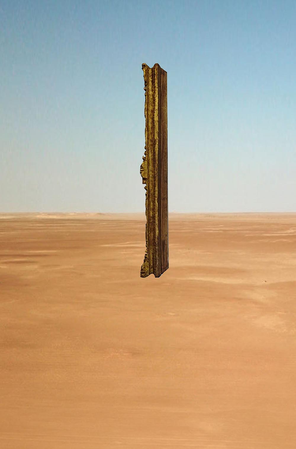 ahmadreza schricker asanorth