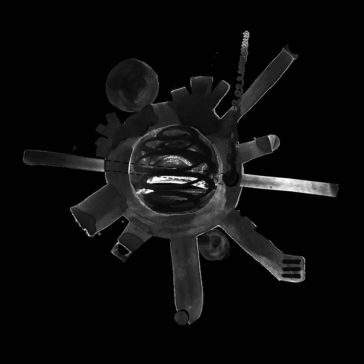 ahmadreza schricker asanorth