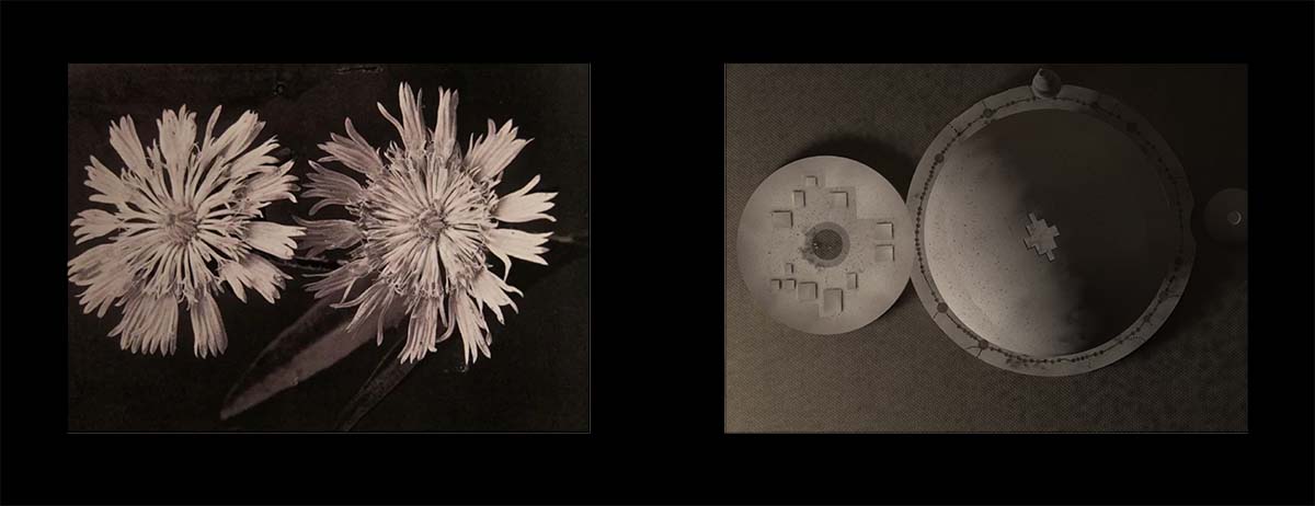 ahmadreza schricker asanorth