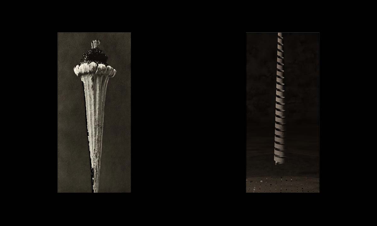 ahmadreza schricker asanorth