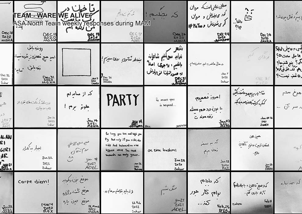 ahmadreza schricker asanorth