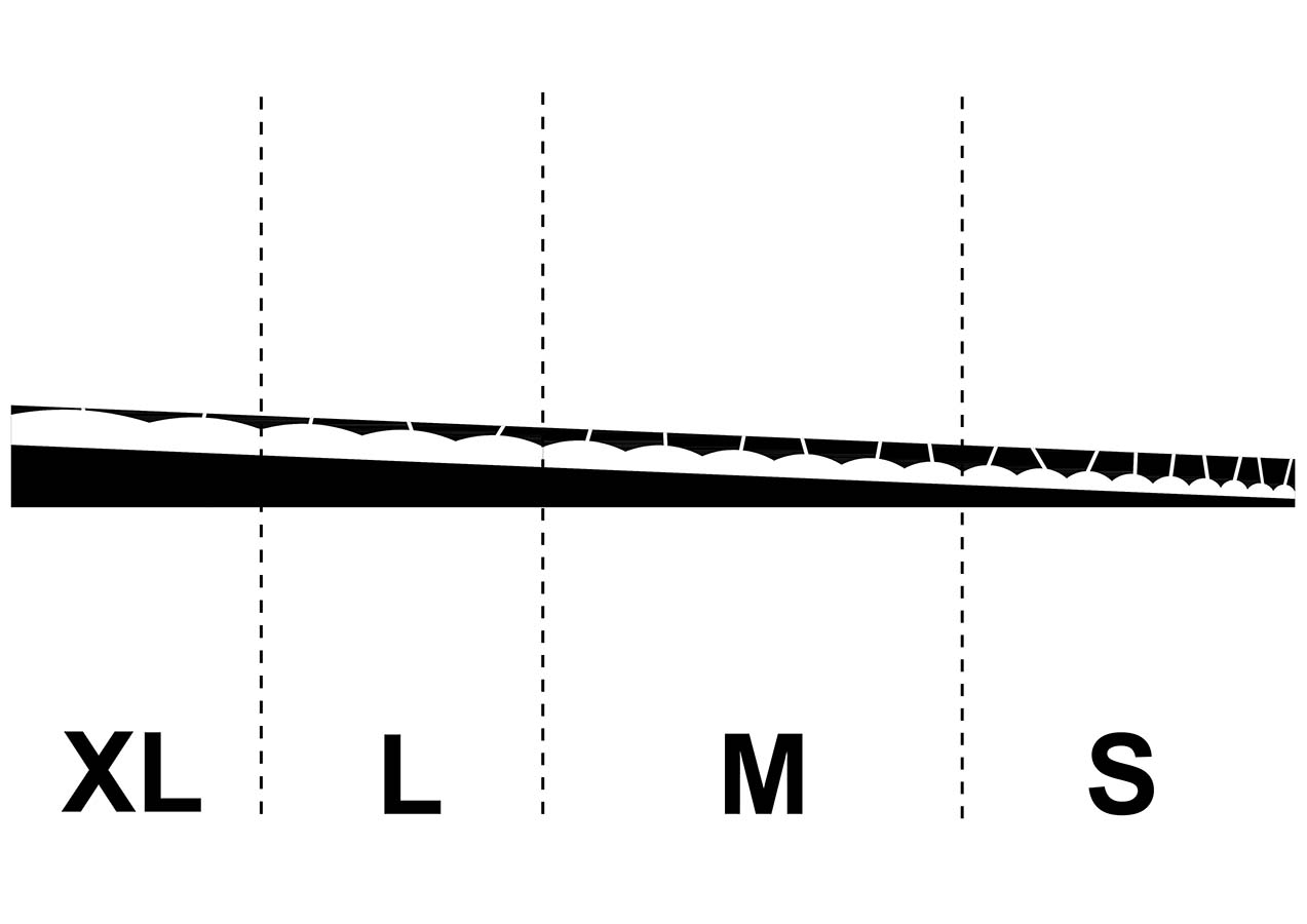 ahmadreza schricker asanorth